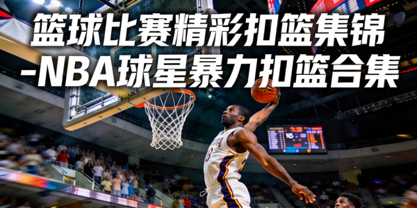 9球直播官方网站Logo - 体育直播平台标志